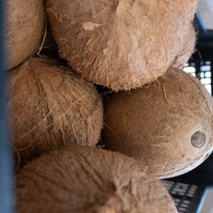 Freh Coconuts