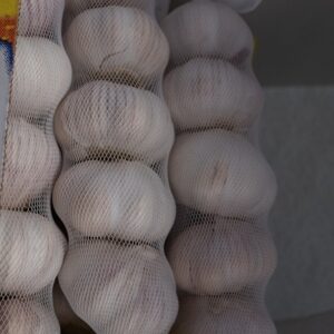 Fresh Garlic
