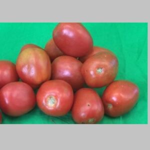 Fresh Tomatoes